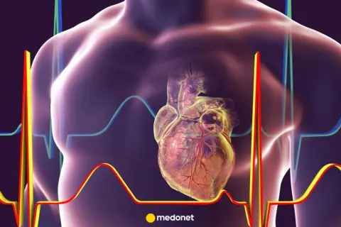 Anatomical heart with ECG lines. Czy lidokaina jest bezpieczna dla serca?