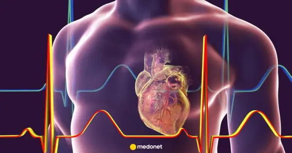 Anatomical heart with ECG lines. Czy lidokaina jest bezpieczna dla serca?